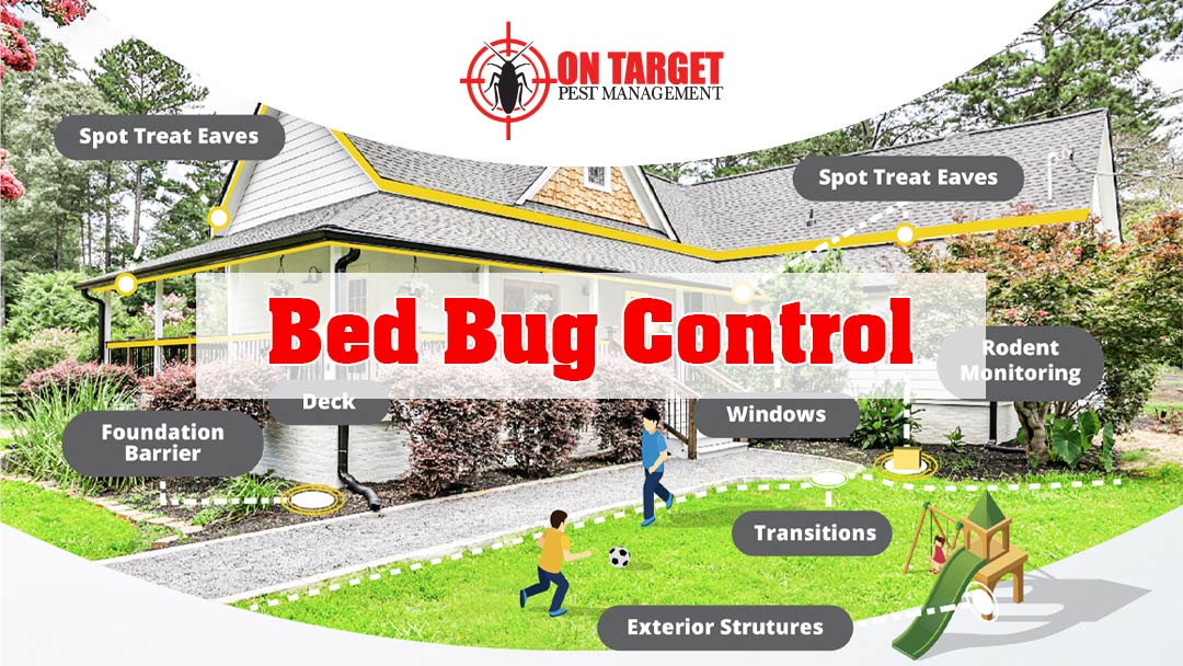 Bed Bug Treatment On Target Pest Management